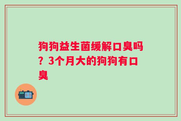 狗狗益生菌缓解口臭吗？3个月大的狗狗有口臭