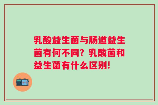 乳酸益生菌与肠道益生菌有何不同？乳酸菌和益生菌有什么区别!