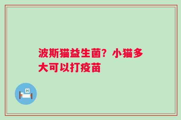 波斯猫益生菌？小猫多大可以打疫苗