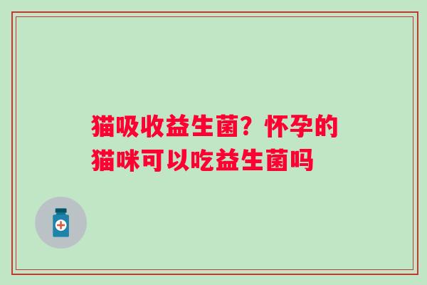 猫吸收益生菌？怀孕的猫咪可以吃益生菌吗