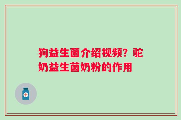 狗益生菌介绍视频？驼奶益生菌奶粉的作用