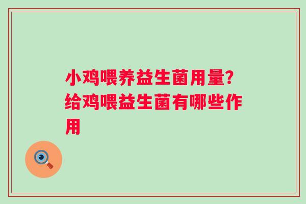 小鸡喂养益生菌用量？给鸡喂益生菌有哪些作用