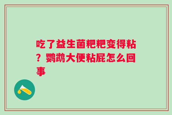 吃了益生菌粑粑变得粘？鹦鹉大便粘屁怎么回事