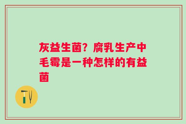 灰益生菌？腐乳生产中毛霉是一种怎样的有益菌