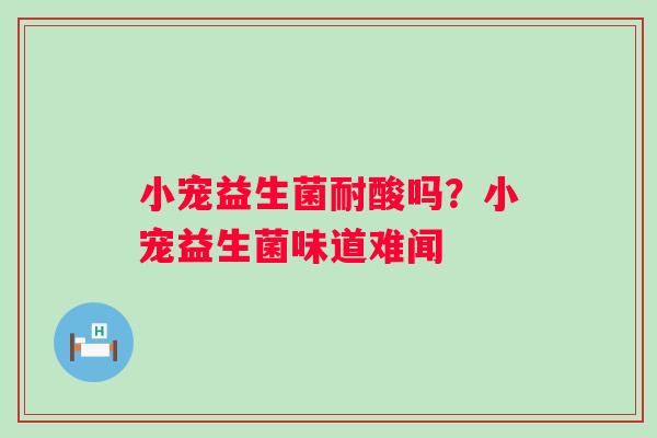 小宠益生菌耐酸吗？小宠益生菌味道难闻