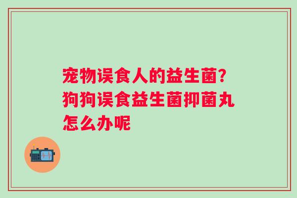 宠物误食人的益生菌？狗狗误食益生菌抑菌丸怎么办呢