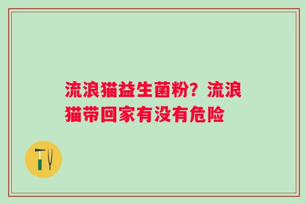 流浪猫益生菌粉？流浪猫带回家有没有危险