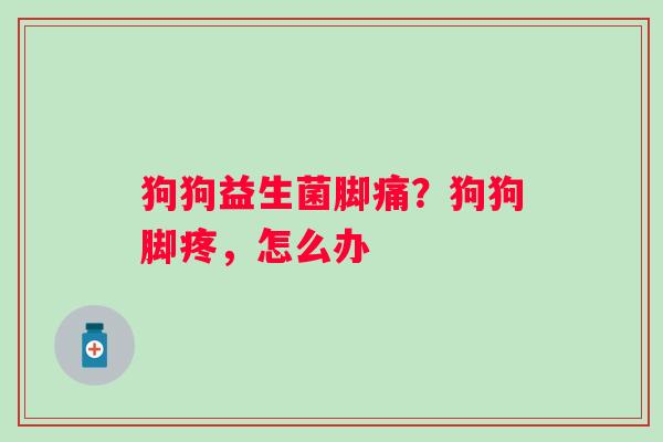 狗狗益生菌脚痛？狗狗脚疼，怎么办