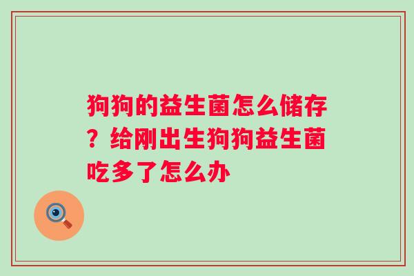 狗狗的益生菌怎么储存？给刚出生狗狗益生菌吃多了怎么办