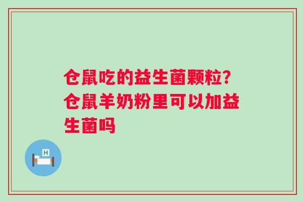 仓鼠吃的益生菌颗粒？仓鼠羊奶粉里可以加益生菌吗