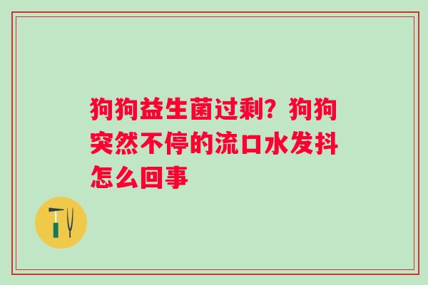 狗狗益生菌过剩？狗狗突然不停的流口水发抖怎么回事