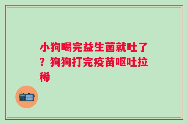 小狗喝完益生菌就吐了？狗狗打完疫苗呕吐拉稀