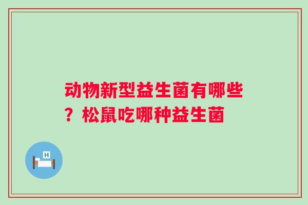 动物新型益生菌有哪些？松鼠吃哪种益生菌