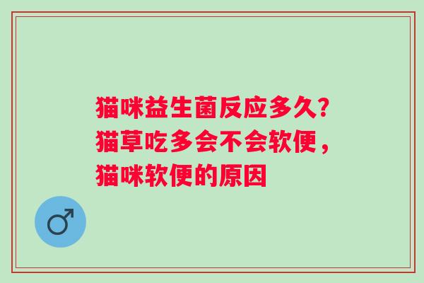 猫咪益生菌反应多久？猫草吃多会不会软便，猫咪软便的原因