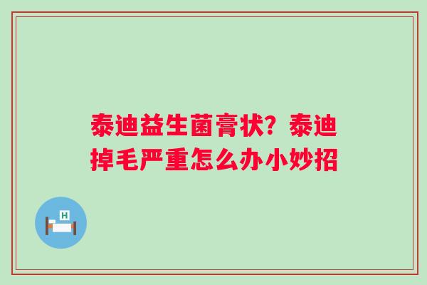 泰迪益生菌膏状？泰迪掉毛严重怎么办小妙招