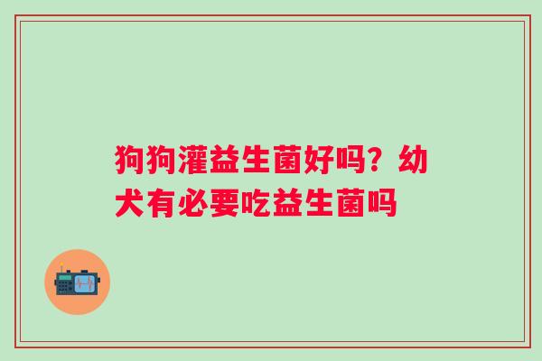 狗狗灌益生菌好吗？幼犬有必要吃益生菌吗