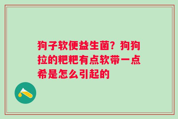 狗子软便益生菌？狗狗拉的粑粑有点软带一点希是怎么引起的