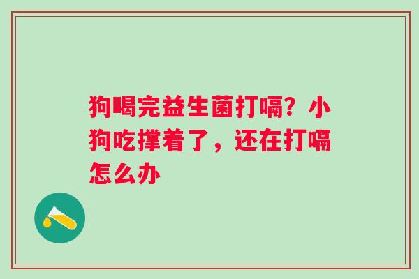 狗喝完益生菌打嗝？小狗吃撑着了，还在打嗝怎么办