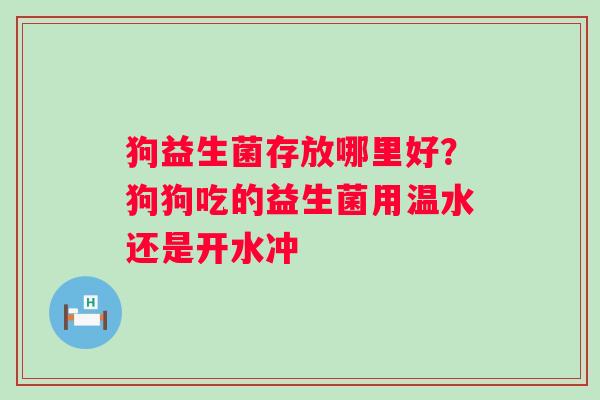 狗益生菌存放哪里好？狗狗吃的益生菌用温水还是开水冲