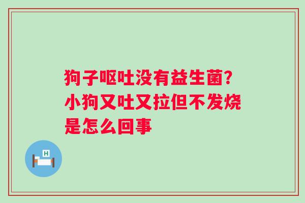 狗子呕吐没有益生菌？小狗又吐又拉但不发烧是怎么回事