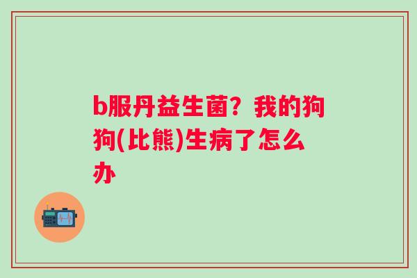 b服丹益生菌？我的狗狗(比熊)生病了怎么办