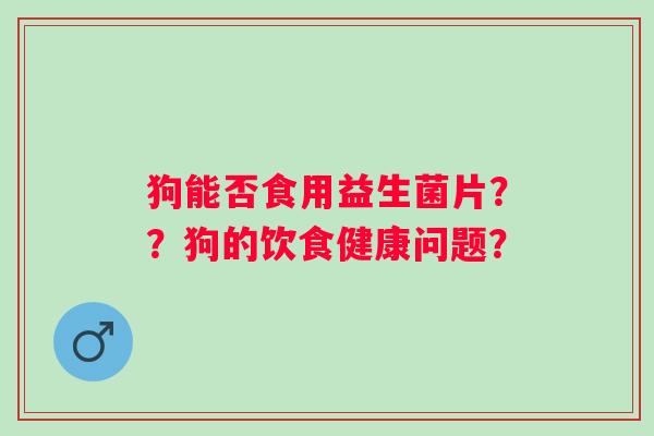 狗能否食用益生菌片？？狗的饮食健康问题？