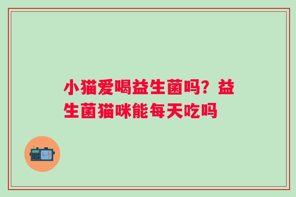 小猫爱喝益生菌吗？益生菌猫咪能每天吃吗