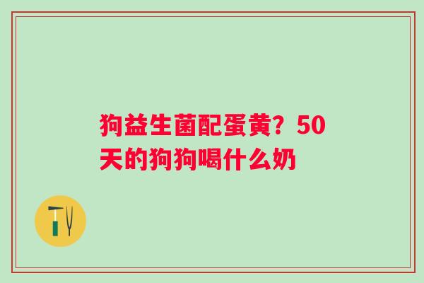 狗益生菌配蛋黄？50天的狗狗喝什么奶