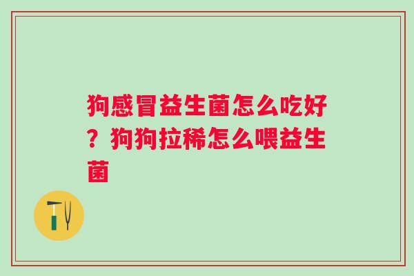 狗感冒益生菌怎么吃好？狗狗拉稀怎么喂益生菌
