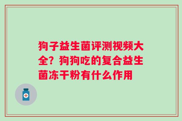 狗子益生菌评测视频大全？狗狗吃的复合益生菌冻干粉有什么作用