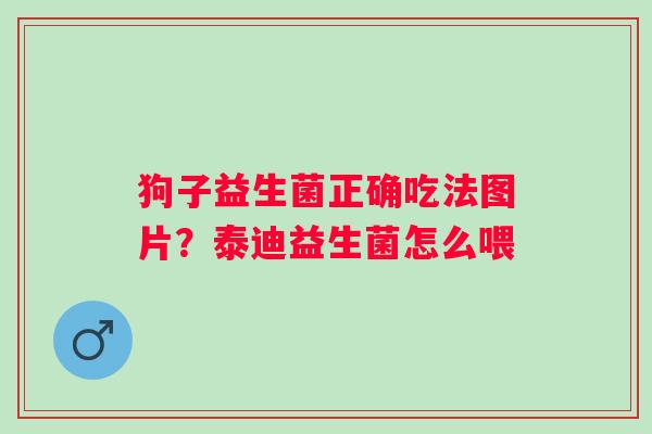 狗子益生菌正确吃法图片？泰迪益生菌怎么喂