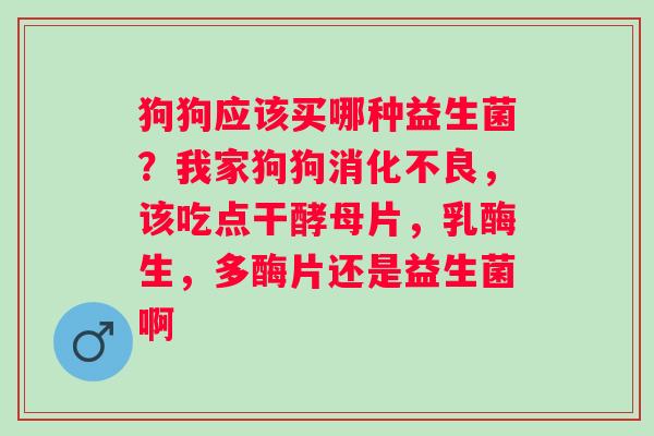 狗狗应该买哪种益生菌？我家狗狗消化不良，该吃点干酵母片，乳酶生，多酶片还是益生菌啊