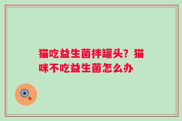 猫吃益生菌拌罐头？猫咪不吃益生菌怎么办