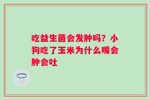 吃益生菌会发肿吗？小狗吃了玉米为什么嘴会肿会吐