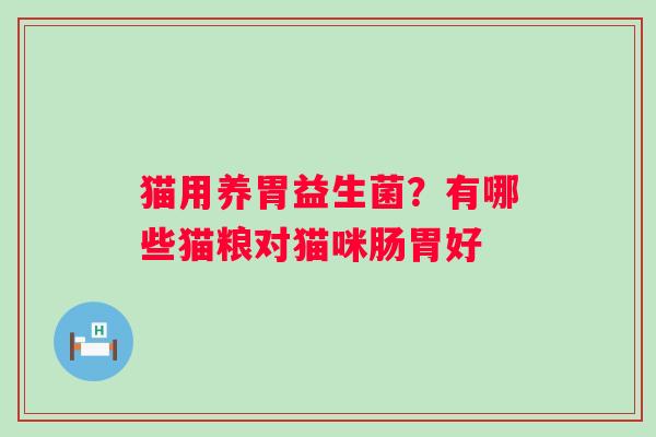 猫用养胃益生菌？有哪些猫粮对猫咪肠胃好