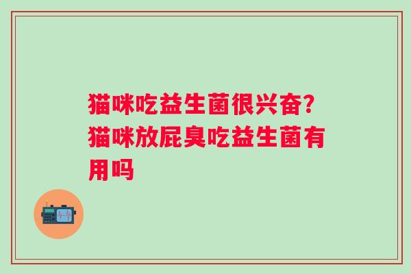 猫咪吃益生菌很兴奋？猫咪放屁臭吃益生菌有用吗