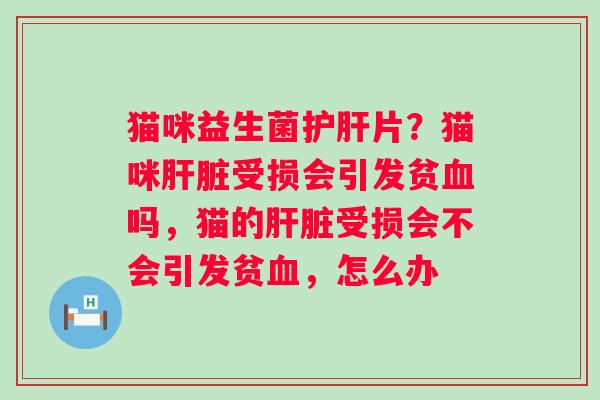 猫咪益生菌护肝片？猫咪肝脏受损会引发贫血吗，猫的肝脏受损会不会引发贫血，怎么办