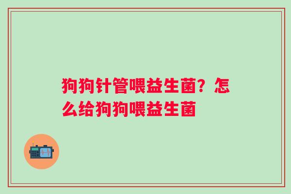 狗狗针管喂益生菌？怎么给狗狗喂益生菌