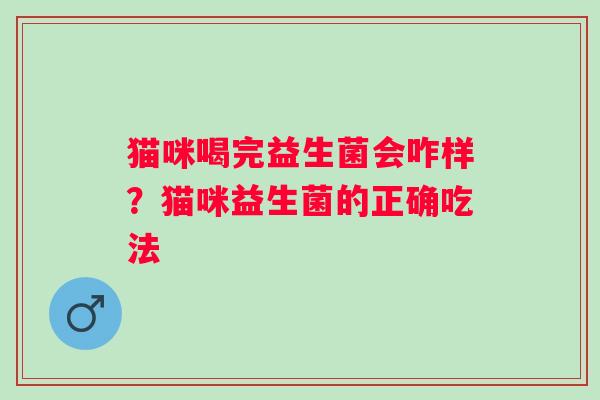 猫咪喝完益生菌会咋样？猫咪益生菌的正确吃法