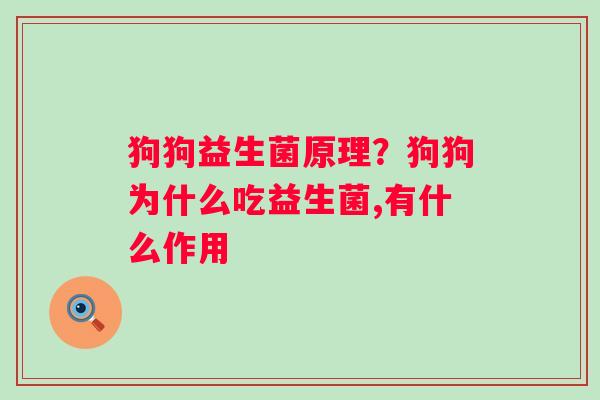 狗狗益生菌原理？狗狗为什么吃益生菌,有什么作用