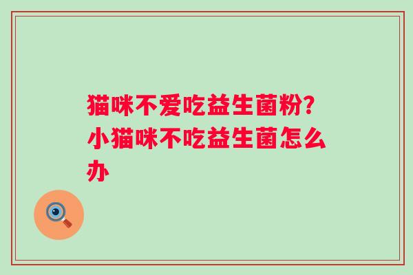 猫咪不爱吃益生菌粉？小猫咪不吃益生菌怎么办