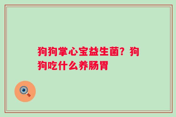 狗狗掌心宝益生菌？狗狗吃什么养肠胃