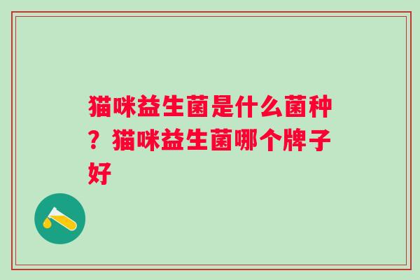 猫咪益生菌是什么菌种？猫咪益生菌哪个牌子好