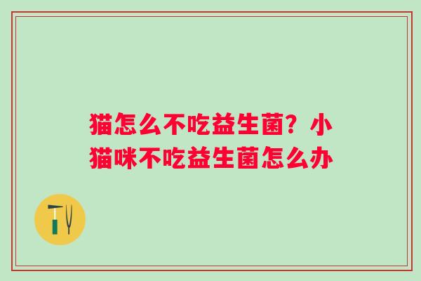 猫怎么不吃益生菌？小猫咪不吃益生菌怎么办