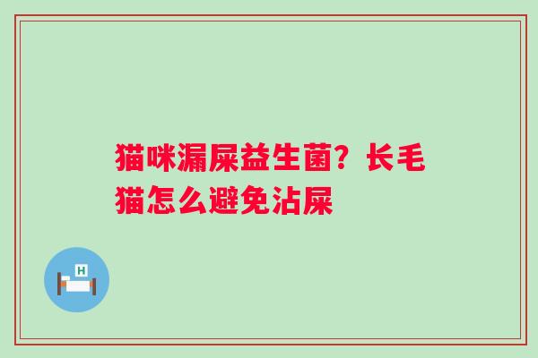 猫咪漏屎益生菌？长毛猫怎么避免沾屎