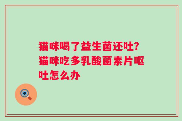 猫咪喝了益生菌还吐？猫咪吃多乳酸菌素片呕吐怎么办