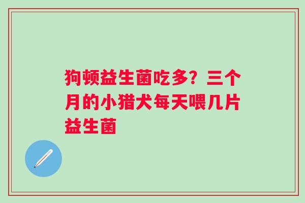狗顿益生菌吃多？三个月的小猎犬每天喂几片益生菌