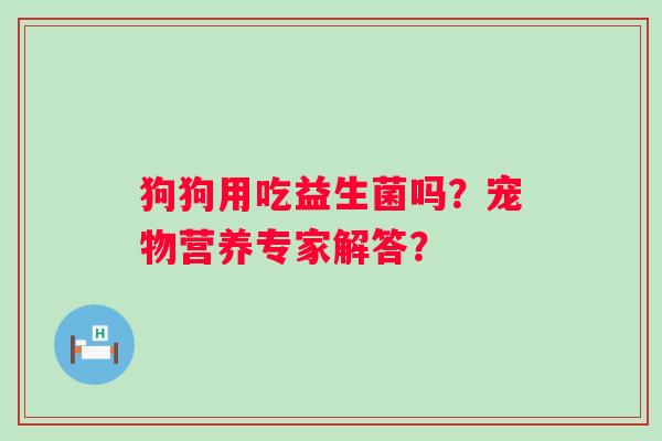 狗狗用吃益生菌吗？宠物营养专家解答？