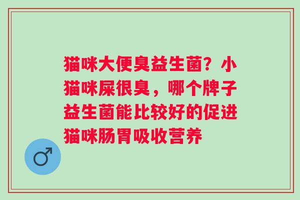 猫咪大便臭益生菌？小猫咪屎很臭，哪个牌子益生菌能比较好的促进猫咪肠胃吸收营养