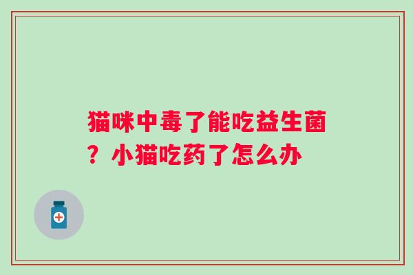 猫咪中毒了能吃益生菌？小猫吃药了怎么办